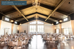 12-HC-817-Marcella-Triple-3-Vineyard-LinkedIn-Post-1