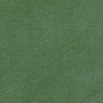 Boucle.Aloe_.1011250.jpg