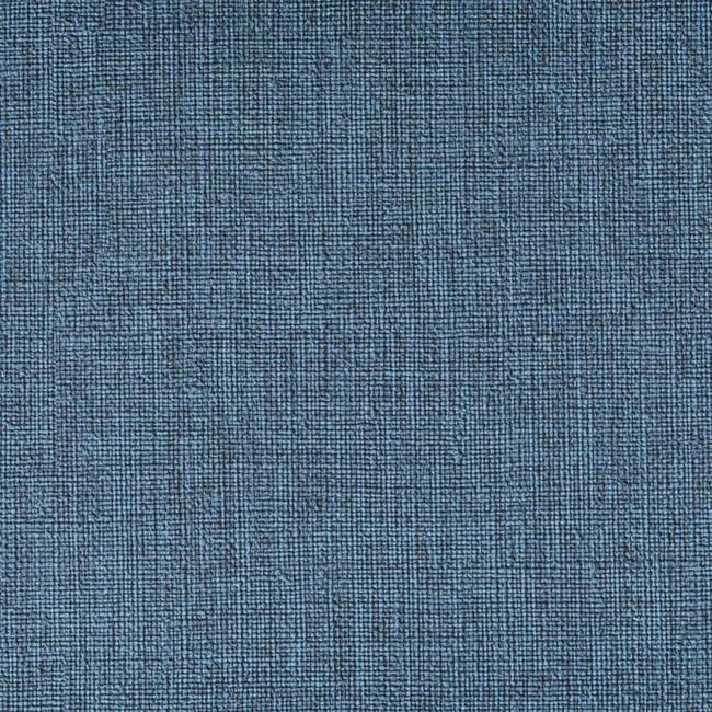 CASLIN_55Bluebird.webp