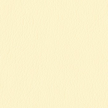 Castillo-Buttercream.jpg