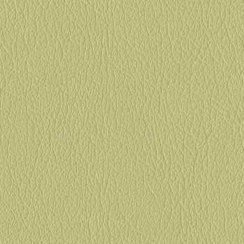 Castillo-Honeydew.jpg