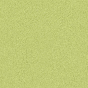 Dillon-Apple-Green.jpg