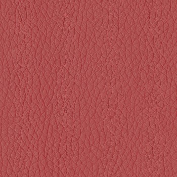 Dillon-Lipstick.jpg