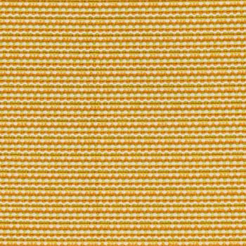 Knot-Citrus-1.jpg