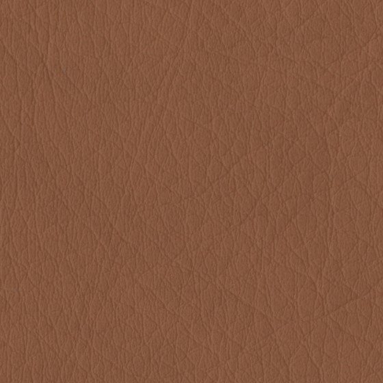 NUTMEG-1.jpg