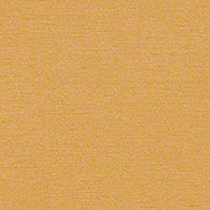 Nishiki-Miso-1.jpg