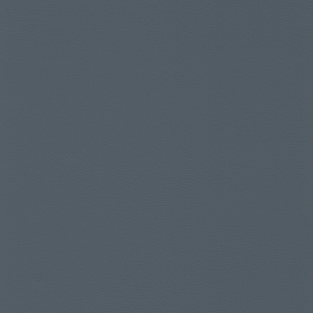 Pillar.Dolphin.1011294.jpg