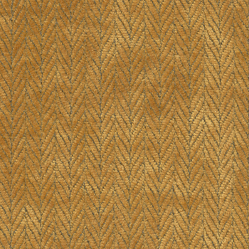 Pivot.Maize_.1011021.jpg