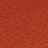 Premier-BurntOrange.jpg