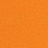 Premier-Marigold.jpg