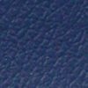 Premier-PacificBlue.jpg