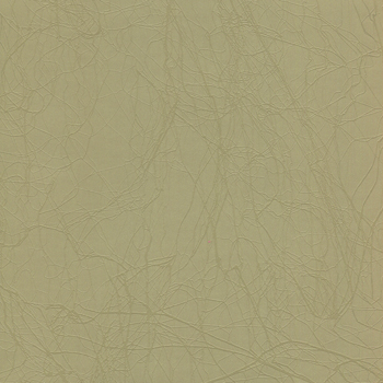 Sketch.Caladon.1011096.jpg