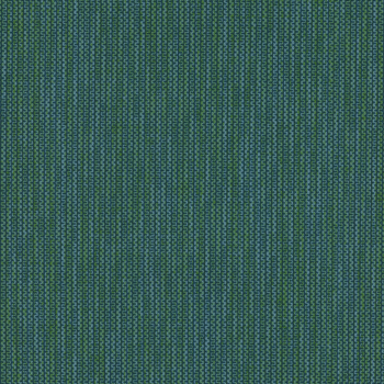 Zipline.Peacock.1011654.jpg