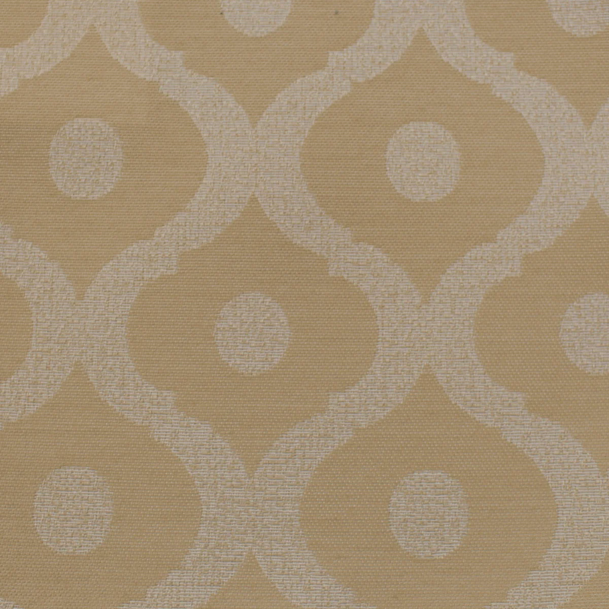 ambrosia_sanddune_amb106.webp
