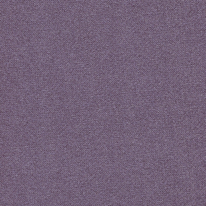avery_avy008_iris.jpg
