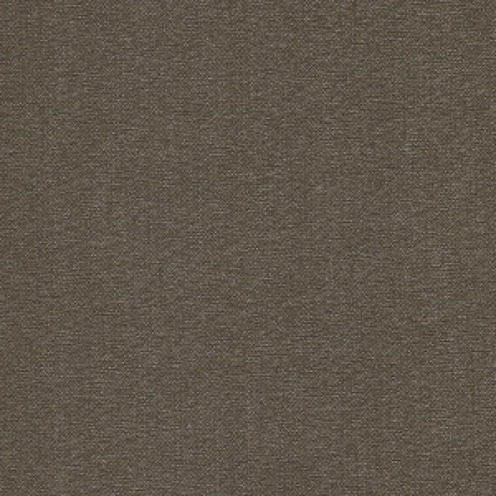avery_avy016_fossil.webp