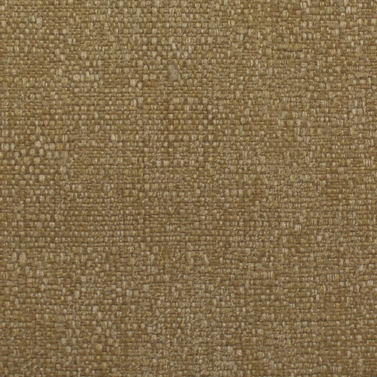 berkeley_bkl02_wheaten.webp