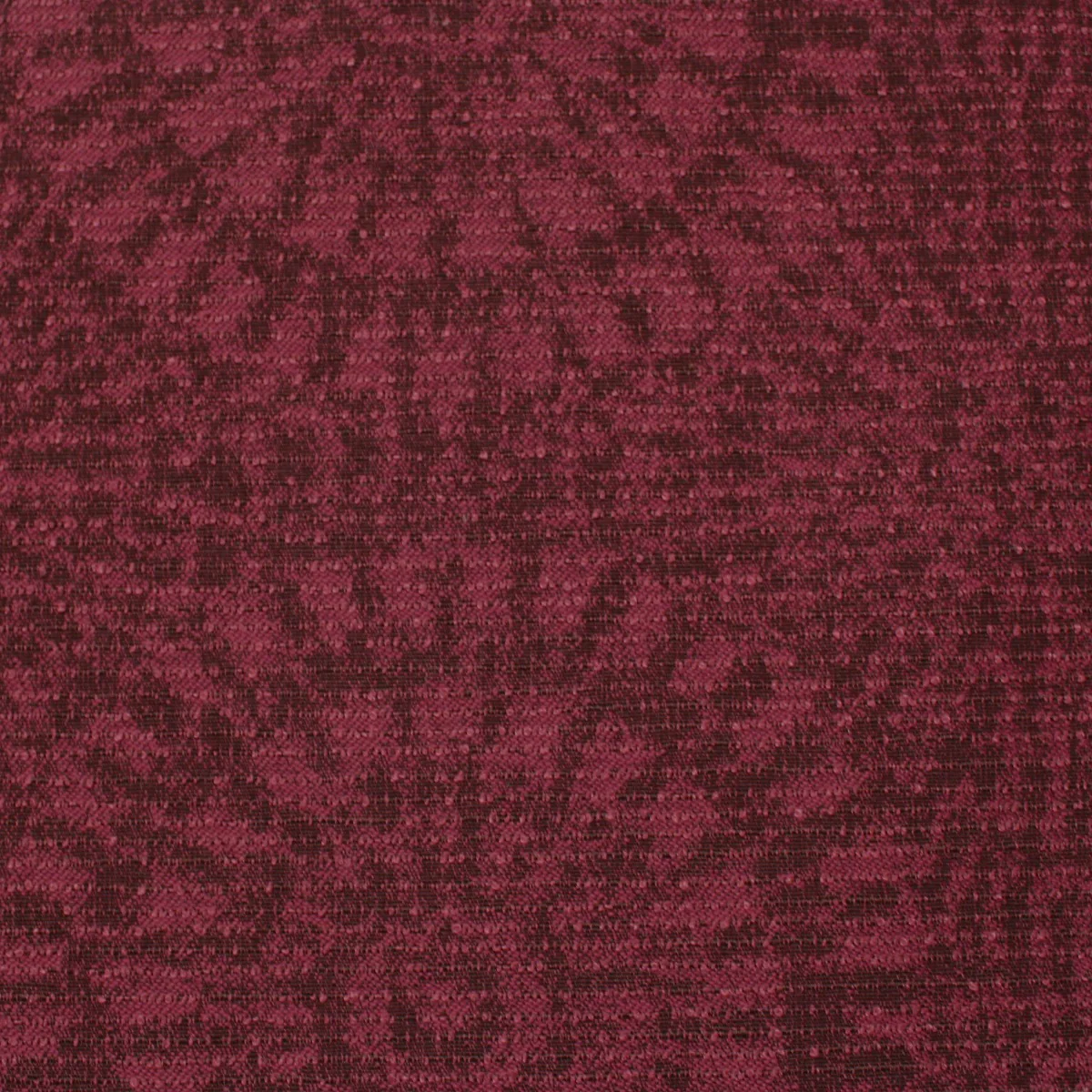 cascade_plum_cde114.webp