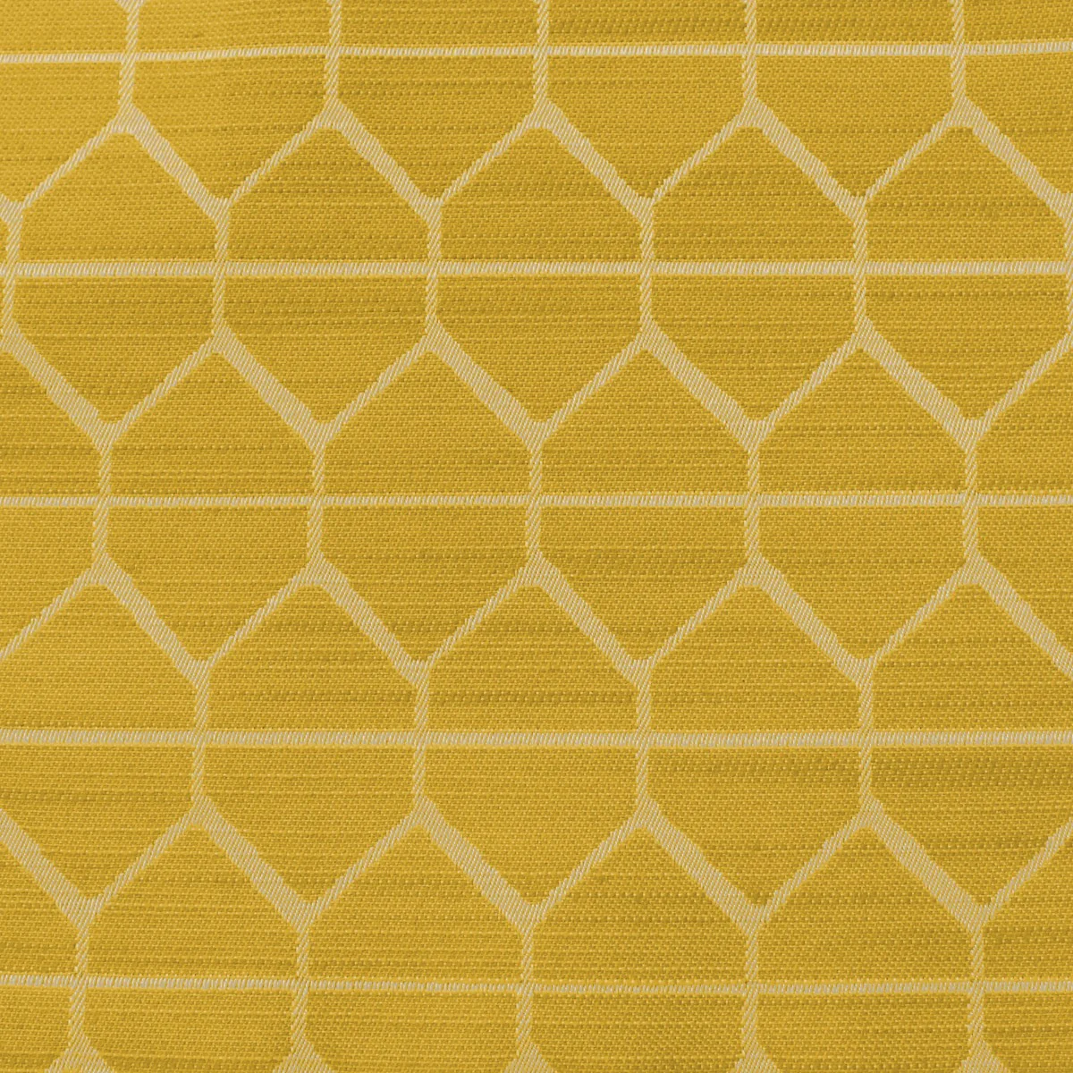 hive_canary_hve108.webp