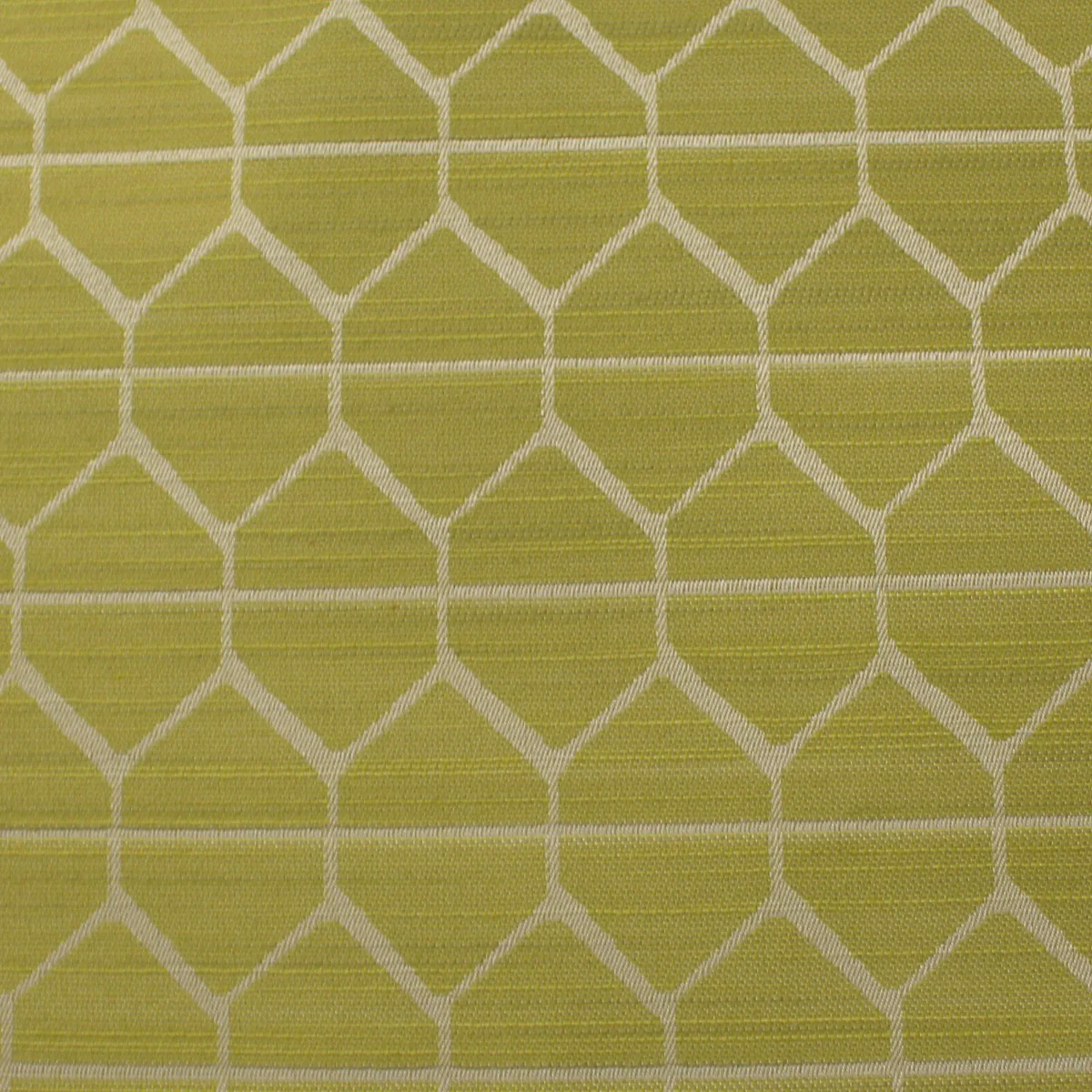 hive_fern_hve100.webp